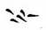 Cuneiform sign FTCuneiform08111a.jpg