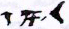 Cuneiform sign FTCuneiform07350d.jpg
