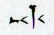 Cuneiform sign FTCuneiform07359b.jpg