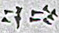 Cuneiform sign FTCuneiform07363g.jpg